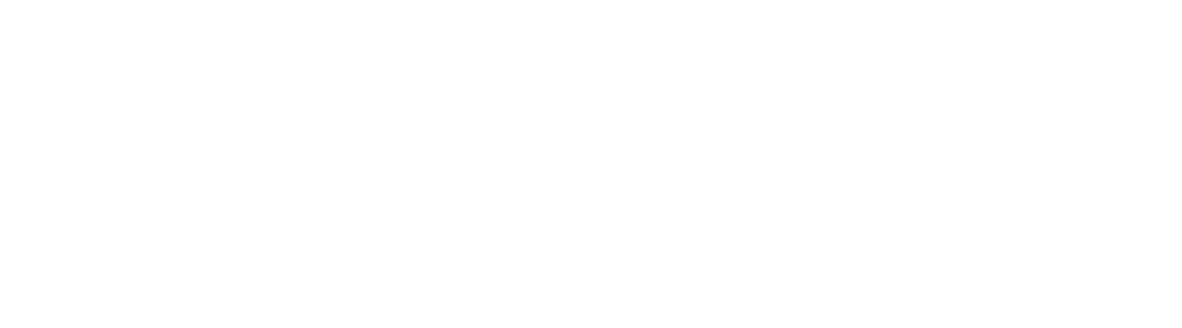 Social Press Logo_Logo Horizontal Branco Transp